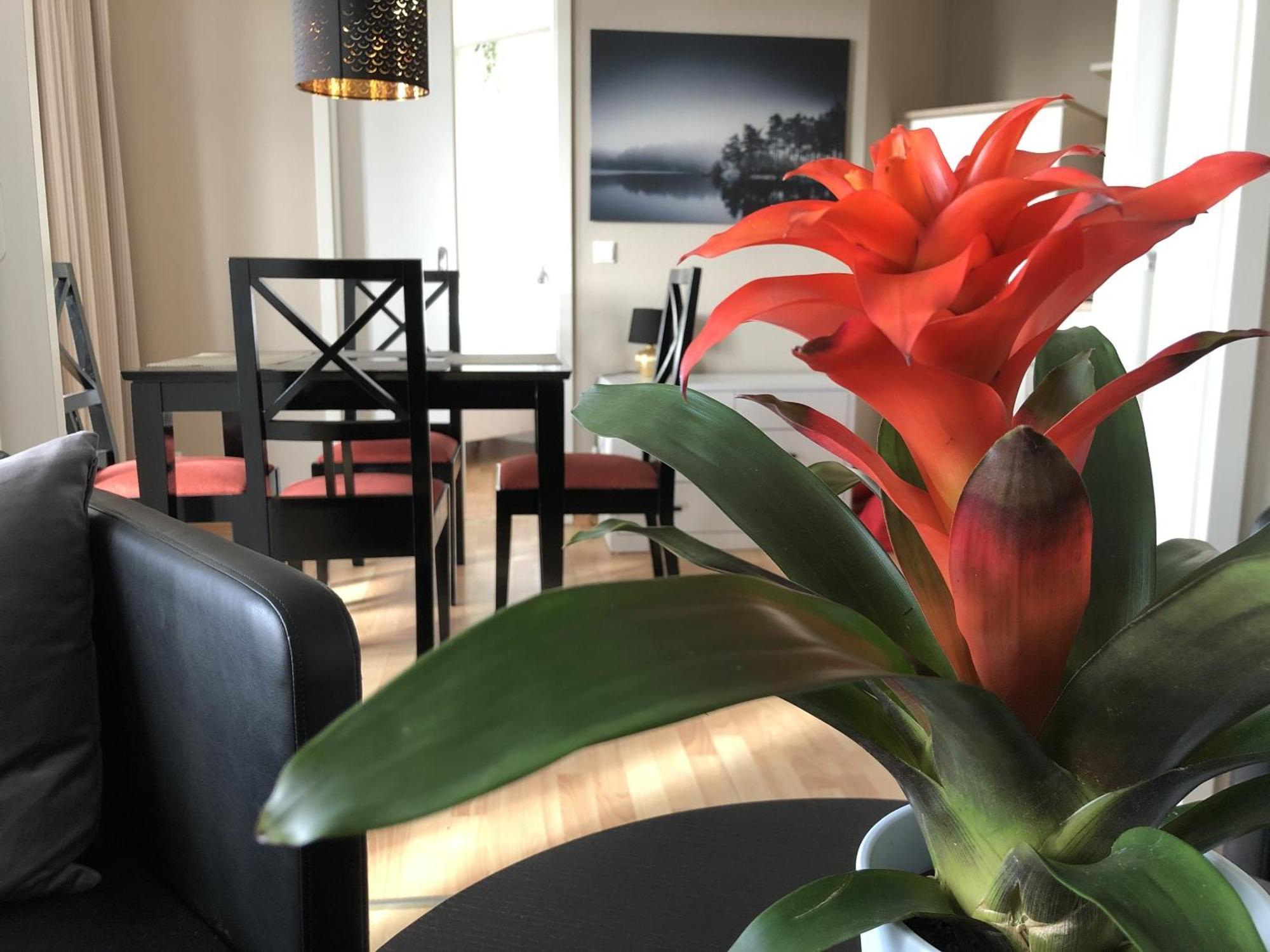 Sehnsucht Rügen Ferienappartements Sellin  Exterior foto